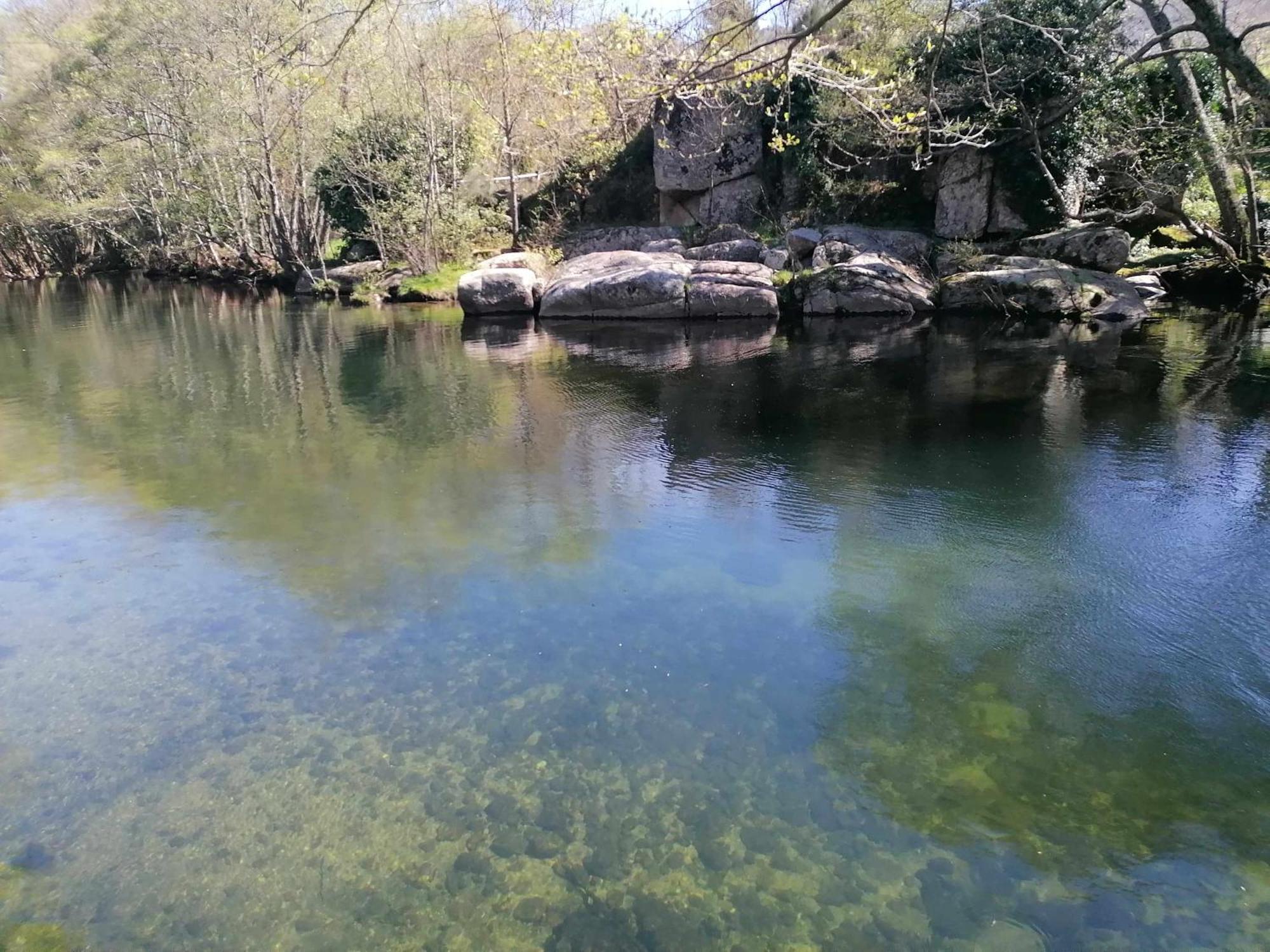 Quinta Do Moinho Turismo De Natureza Aldeia Vicosa Dış mekan fotoğraf